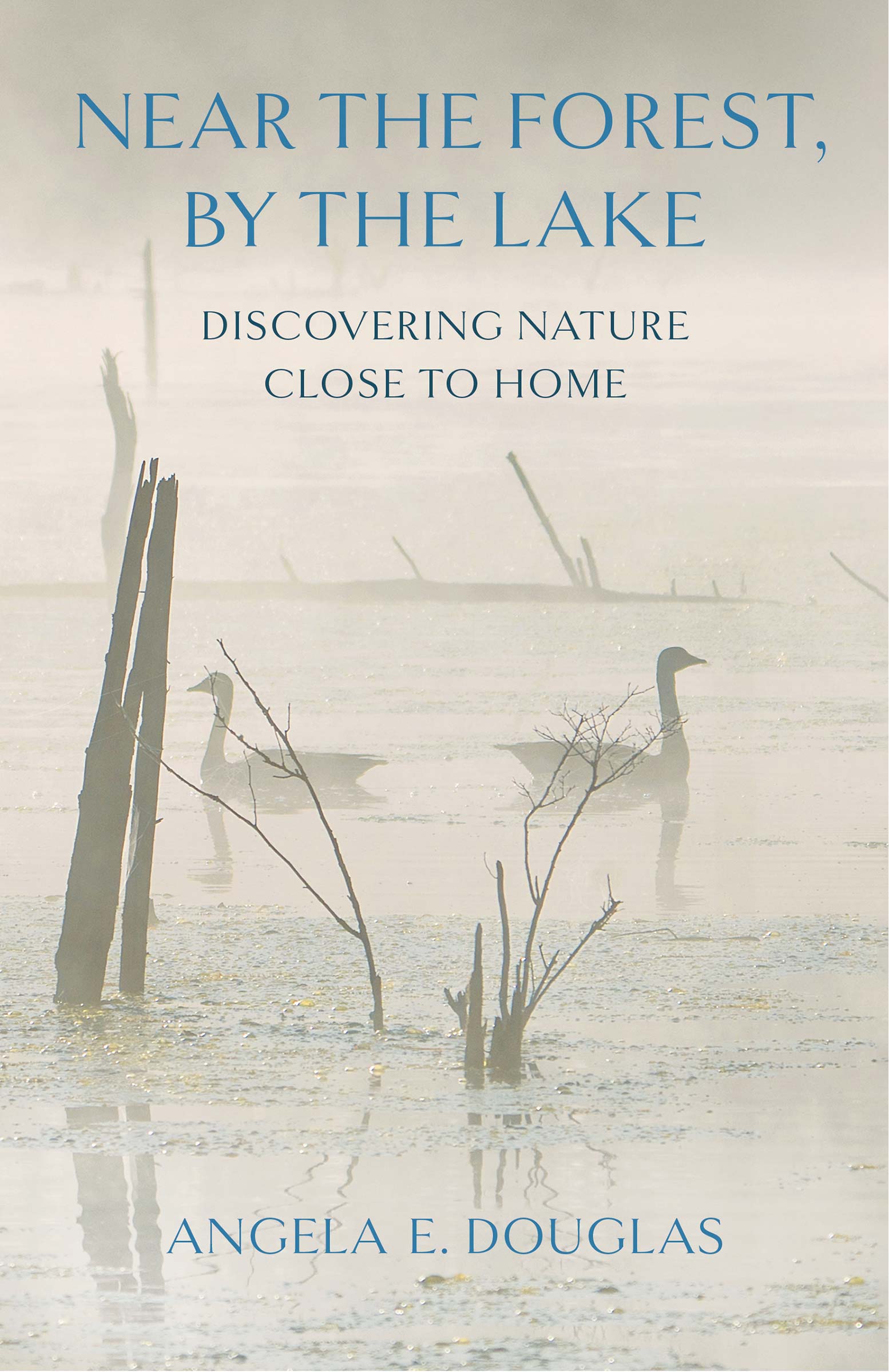 Near the Forest By the Lake book cover